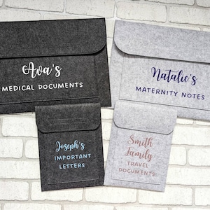 May include: Four gray felt folders with white text. The folders are labeled "Ava's Medical Documents", "Natalie's Maternity Notes", "Joseph's Important Letters", and "Smith Family Travel Documents".