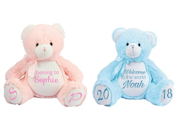 pink and blue teddy bear