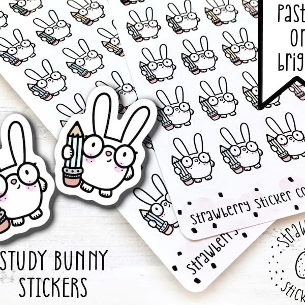 36 Study Bunny Cute Kawaii Planner Stickers SSC0064