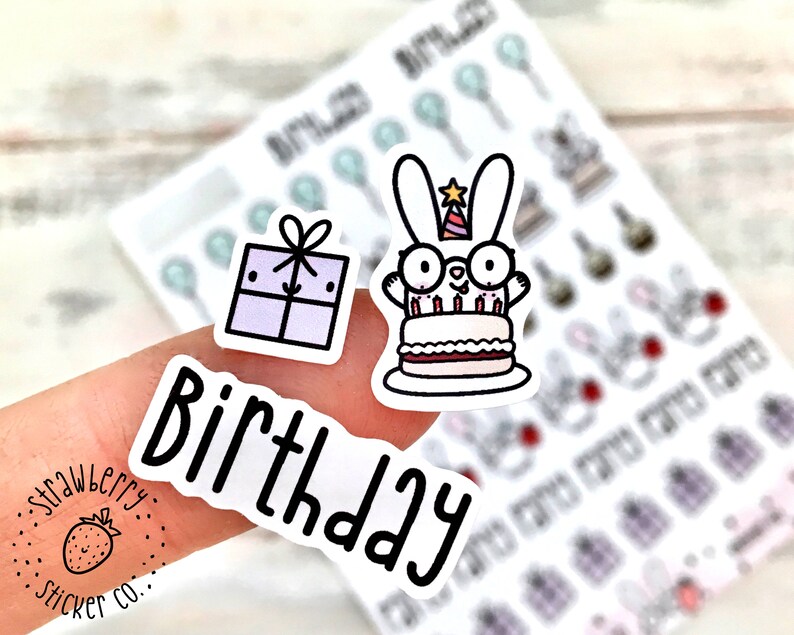 47 Birthday Bunny Mix Cute Kawaii Planner Stickers SSC0001 image 3