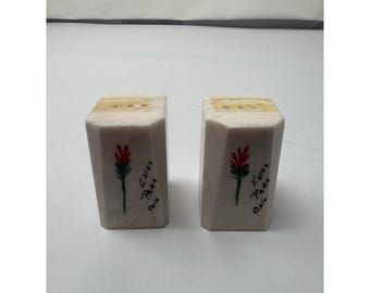 ヴィンテージ コロラド ソルト＆ペッパーシェーカー 手描き 花柄 ストーン ストッパーなし テープ不要