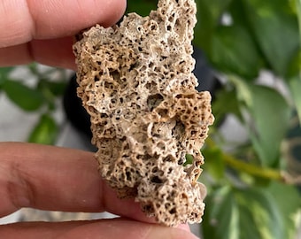 軽石 イタリア産 天然火成岩 火山岩標本 - Etsy 日本