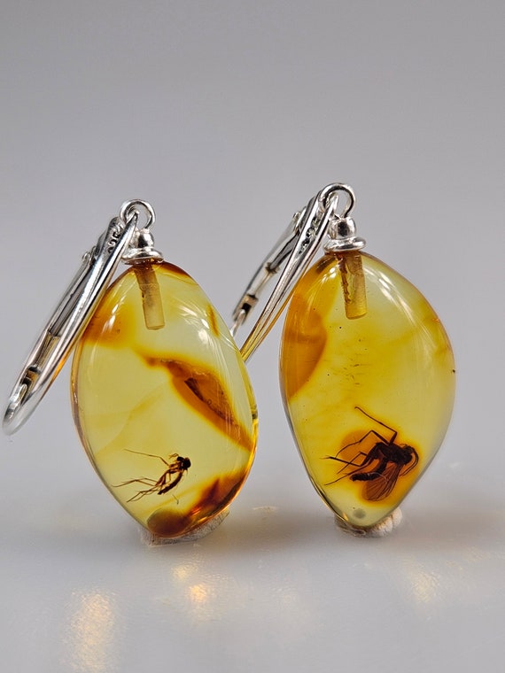 Amber jewelry with insects deals