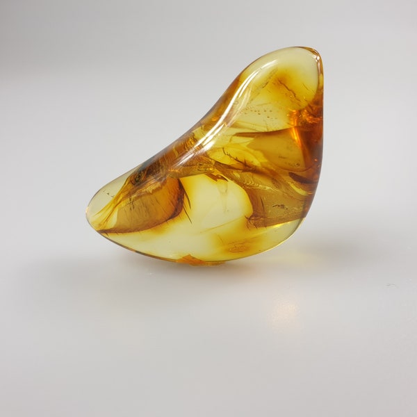 Amber Stone With Insect - Etsy