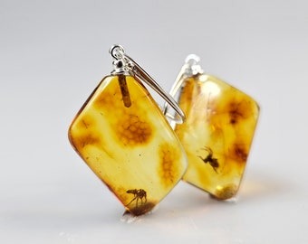 Amber Insect earrings Rare Baltic Amber Big Insect Rare Inclusion earring Collectible Fossil Bug In Amber Stone Raw Amber vintage dangle