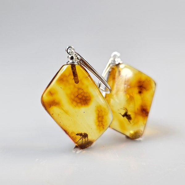 Amber Insect earrings Rare Baltic Amber Big Insect Rare Inclusion earring Collectible Fossil Bug In Amber Stone Raw Amber vintage dangle