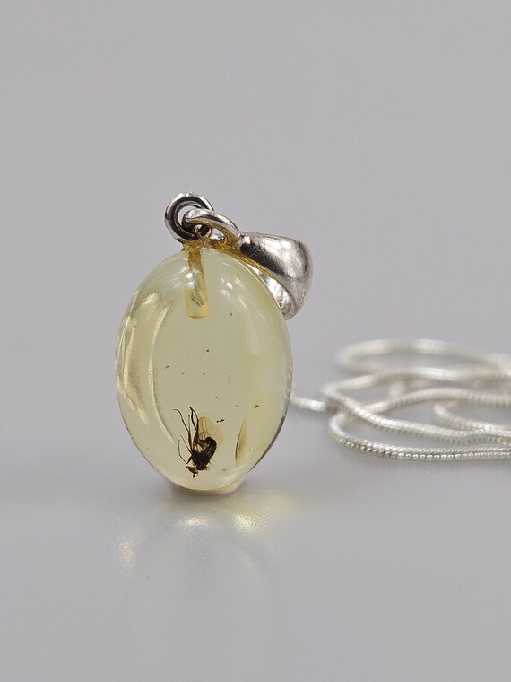 Amber insect Certificated Amber with Spider in  Bug in Raw amber pendant Amber Pendant With Inclusion