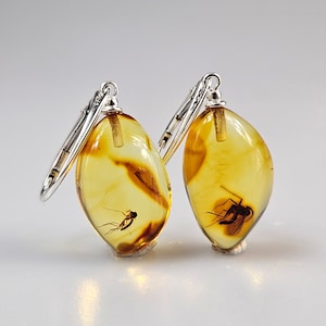 May include: A pair of silver earrings with amber stones. Each stone contains a preserved insect.