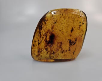 ビルマ産琥珀に含まれる希少な鳥類の羽毛の化石 - Etsy 日本