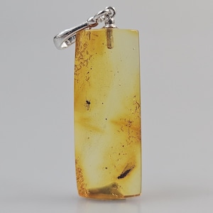 Baltic Amber insect Pendant. Amber inclusions. Amber fossil. Rare Amber stone.  rare collectible stone, Fossilized stone. Pendant inclusion