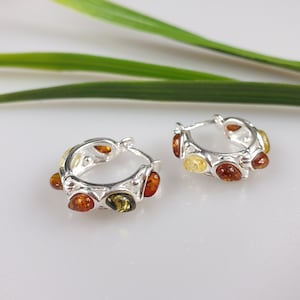 Baltic Amber Hoop Earrings: Sterling Silver Multi-Color Gemstone