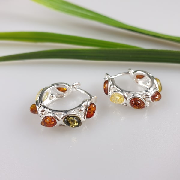 Amber earring. Silver earrings. Small elegant Amber earrings. Amber jewelry. Baltic Amber Round multi colour hoop Earrings boucles d'oreille