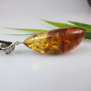 Raw Baltic Amber Pendant: Unisex Leather Cord Amulet