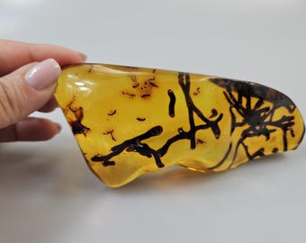 希少なトカゲの足、ビルマ産琥珀に含まれる化石 - Etsy 日本