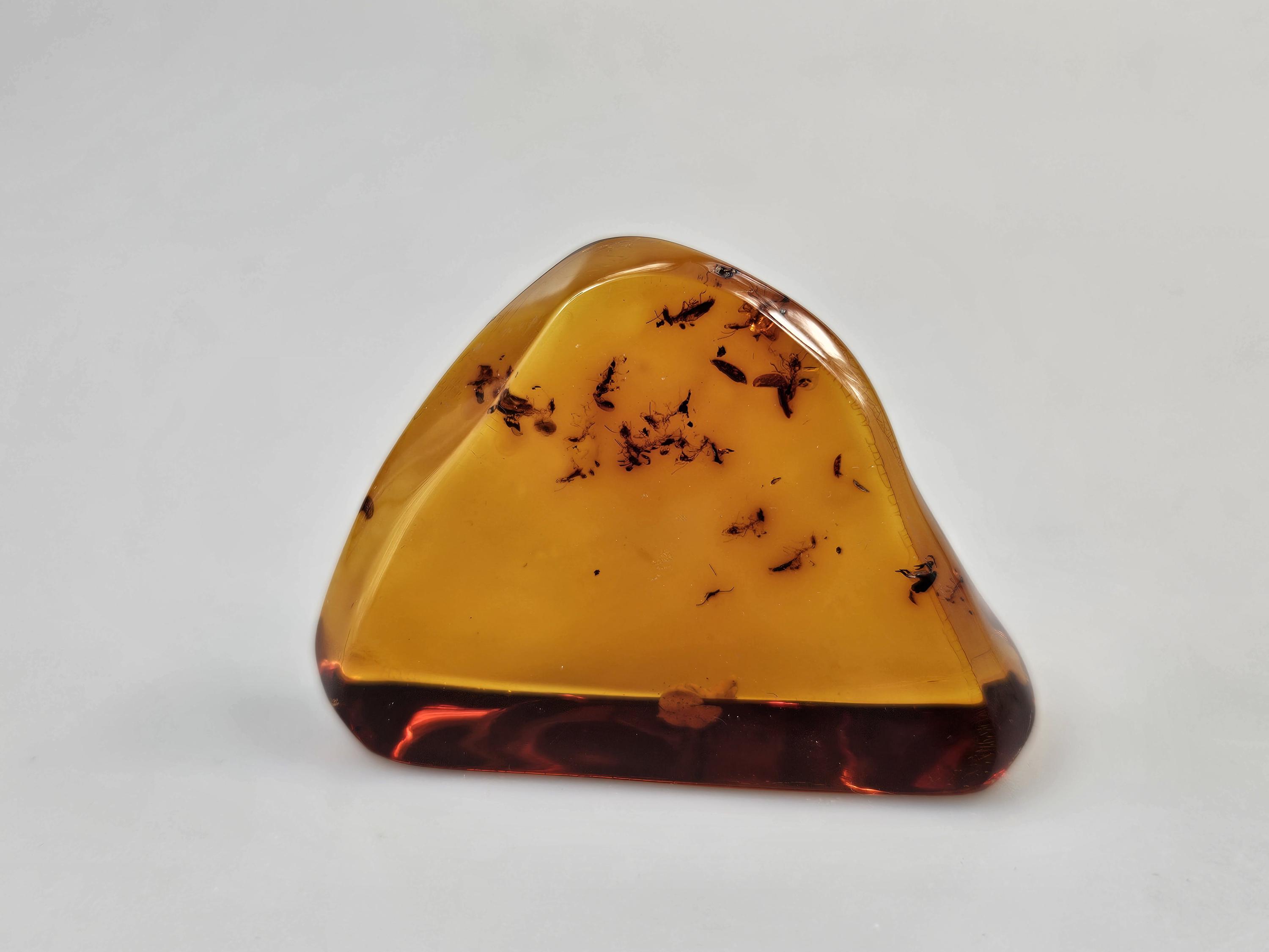 昆虫の化石が内包されたバルト海産琥珀 - Etsy 日本