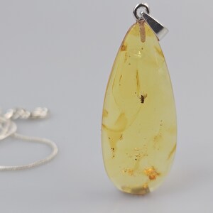 Pendentif insecte en ambre. Cabochon d&#39;inclusions d&#39;ambre fossile d&#39;ambre. Pierre d&#39;ambre rare.  Pierre de collection rare, pierre fossilisée. Punaise jaune ambré