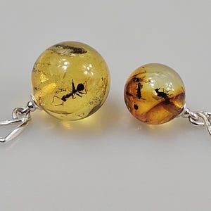 Pendentif insecte araignée en ambre Grand pendentif en ambre cuir et ambre Pendentif unisexe ambre fossile Grosse ambre Pierre d&#39;ambre rare