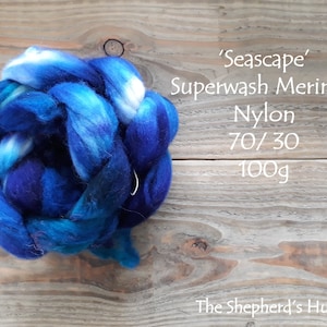 Superwash Merino/ Nylon hand dyed braid in 'Seascape' 100 g