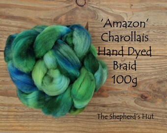 Charollais hand dyed braid in 'Amazon' 100 g  3.5 oz