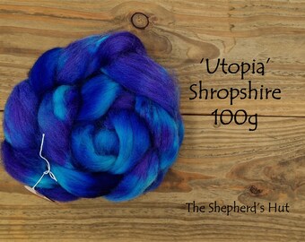 Shropshire hand dyed braid 'Utopia' 100 g