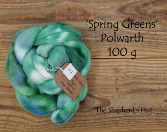 Polwarth hand dyed braid 'Soring Greens' 100 g  3.5 oz