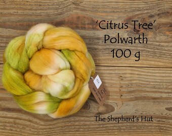 Polwarth hand dyed braid 'Citrus Tree' 100 g  3.5 oz