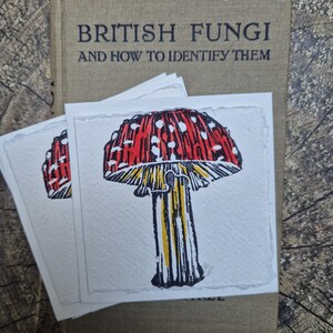 Cartes de voeux de champignon