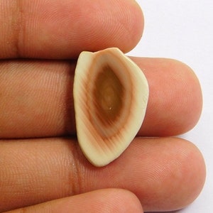 Cabujón de rebanada de jaspe imperial natural/piedra preciosa suelta de jaspe imperial/rebanada de jaspe imperial para piedra de joyería 16 cts. N-3511
