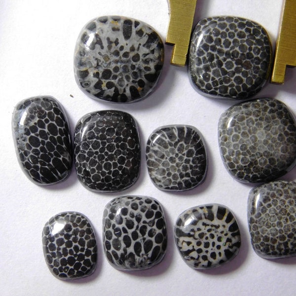 Black Fossil Coral Gemstone, Fossil coral loose stone, Natural fossil coral cabochon, 10 pcs lot Fossil coral loose gemstone 67 Cts.  #2884N