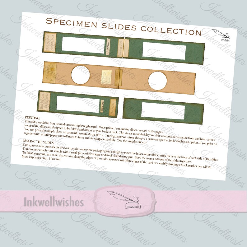 Vintage Specimen Slide Kit. Vintage Style Ephemera Junk Etsy