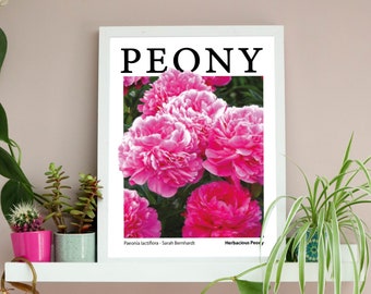 Pink Peony Floral Botanical Art Print | Unframed A3 A4 Wall Decor | Fluoro Bold Colourful Gallery Wall | Peonies Flower Lover Gardener