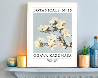 Ogawa Kazumasa - Japanese Azaleas Print |  Vintage Botanical Art | Unframed A3 A4 Wall Decor | Antique Photomechanical Floral Illustration