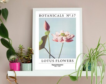 Ogawa Kazumasa - Lotus Flowers Print |  Vintage Botanical Japanese Art | Unframed A3 A4 Wall Decor | Repro Antique Floral Illustration