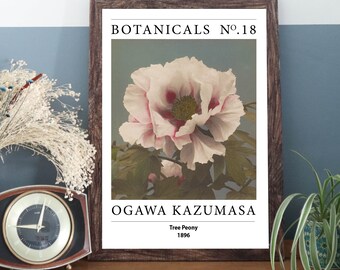 Ogawa Kazumasa - Tree Peony Print |  Vintage Japanese Botanical Artwork | Unframed A3 A4 Wall Decor | Antique Repro Floral Illustration