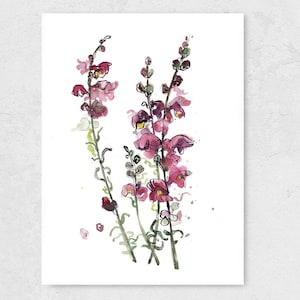 Snapdragon art print from an original watercolor painting