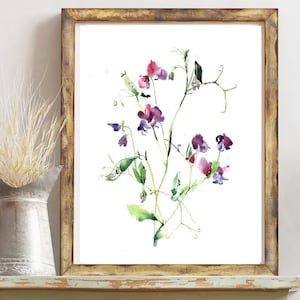 Sweet Pea Watercolor Painting Print - Floral Wall Art for Pink Room Decor