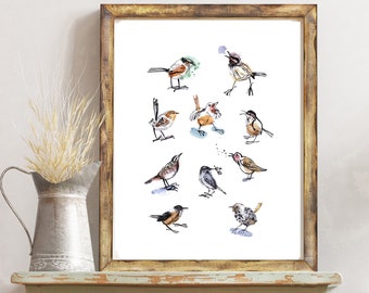 Wren Birds Art Print, Fun Bird Poster