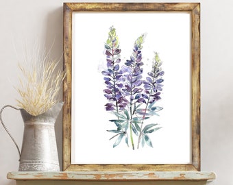 Lupine Watercolor Painting Print: Purple Wildflower Botanical Art