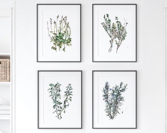 Ensemble de 4 oeuvres d'art mural jardin d'herbes aromatiques avec impression botanique - Sauge, basilic, origan et romarin estampes, décoration de bureau de thérapie