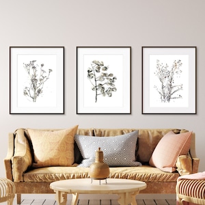 Botanical Art Prints Set: Dried Plants Drawings, Living Room Wall Decor ...