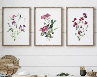 Sweet Pea and Roses Wall Art Set de 3 estampes, Peinture à l'aquarelle de fleurs de jardin, Mur de galerie floral rose, Art mural apaisant, Cadeau pour elle