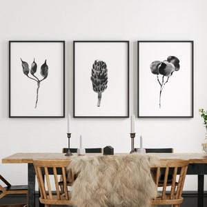 Minimalist Botanical Art, Set of 3 prints, Seed Pods Drawings, Black and White wall art for living room