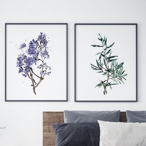 Botanical Print Set: Olive Tree and Jacaranda Watercolor Art