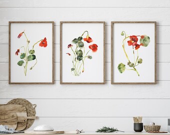 Nasturtium Art Painting Print Set of 3, Nasturtium Plant Colorful Minimalist Art, Botanical Print Above Bed Decor, Gifts For Gardeners