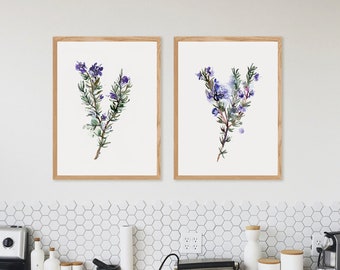 Botanical Rosemary Herb Set of 2 Wall Art for Kitchen Decor