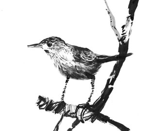 Bird Artwork Print, Black and White Wren Drawing Ink Wall Art, Minimalist Bird Illustration Fine Art Print, Animal Art Bird Lovers Gift Idea