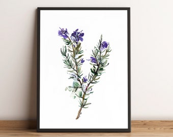 Kitchen Herb Garden Wall Art - Organic Style Decor for Culinary Spaces, Rosemary Watercolor Illustration Print