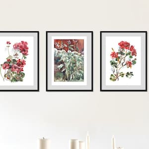 Set Of 3 Geranium Art Prints, Watercolor Floral Posters, Living Room Vibrant Wall Decor