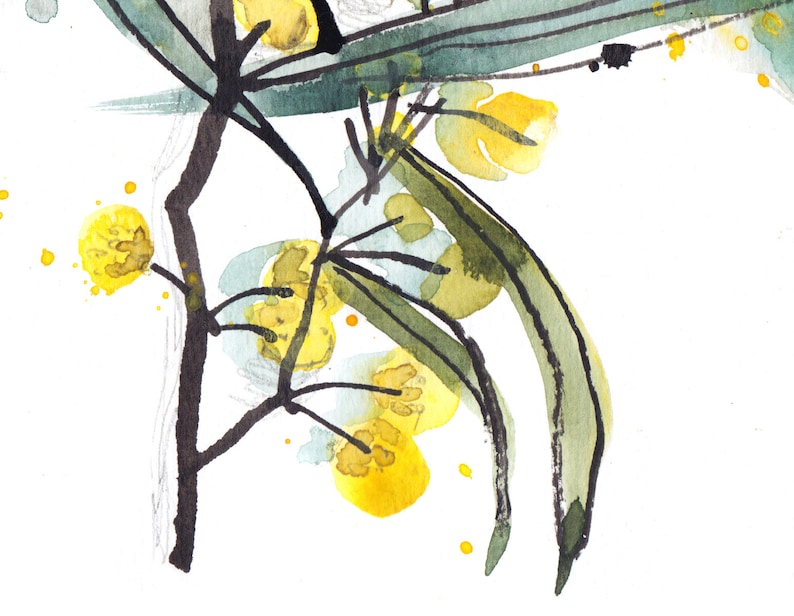 Wattle Tree Watercolor Painting Print Botanical Artwork | Etsy