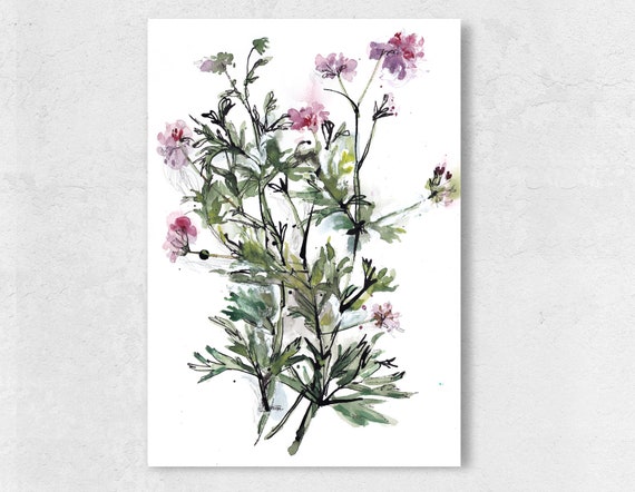 Geranio Original Dibujo Limón Geranio Original Acuarela Arte - Etsy España Geranio Original Dibujo Limón Geranio Original Acuarela Arte - Etsy España